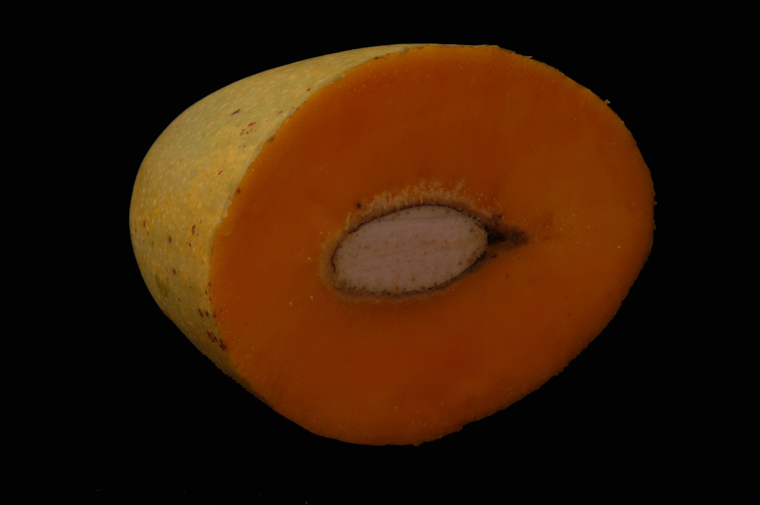 Banganpalli